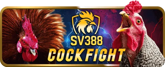 Mẹo cá cược thể thao m33win